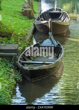 Deux bateaux en bois sur un canal tranquille, entourés d'herbe verte et de feuilles d'automne dans l'eau calme, giethoorn, pays-Bas Banque D'Images