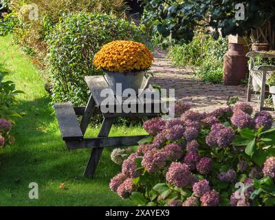 Jardin d'automne avec plein pot de fleurs sur un banc, entouré d'arbustes à fleurs et d'herbe verte, giethoorn, pays-Bas Banque D'Images