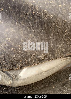 Cremona, Italie - 9 juin 2024 voiture poussiéreuse garée dans une rue de la ville après une tempête de sable, montrant l'impact de la pollution et des conditions météorologiques sur l'environnement. Ur Banque D'Images
