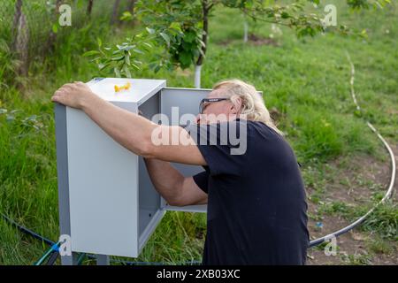 Assemblage d'un système automatique d'alimentation en eau pour l'irrigation goutte à goutte. Un homme installe une boîte d'assemblage. Banque D'Images