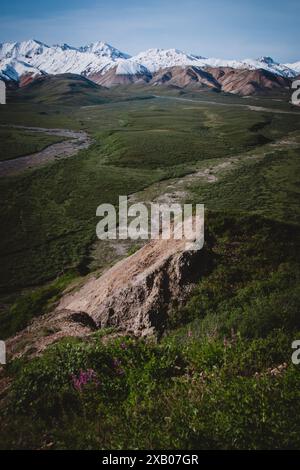 Explorez la beauté contrastée de l'Alaska avec des vallées verdoyantes menant à des sommets enneigés. Ce paysage capture l'essence de la nature sauvage intacte Banque D'Images