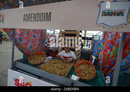 Fêtes de Sao Joao à Bahia salvador, bahia, brésil - 28 mai 2024 : arachides bouillies à vendre dans un bar du marché pendant les festivités de Sao Joao, dans la ville de Salvador. SALVADOR BAHIA BRÉSIL Copyright : xJoaxSouzax 280524JOA00133 Banque D'Images
