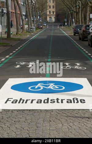 Piste cyclable, Fahrradstraße dans le centre-ville de Berlin-Mitte. Les cyclistes ont la priorité sur les automobilistes sur les pistes cyclables. Banque D'Images