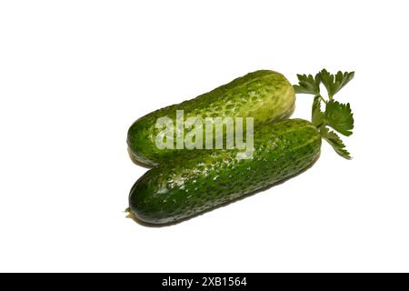 Deux concombres mûrs avec une peau verte rugueuse et un brin de verdure reposent sur un fond blanc. Banque D'Images