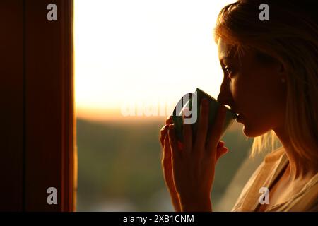 Profil d'une femme réfléchie buvant du café regardant loin par une fenêtre au coucher du soleil Banque D'Images