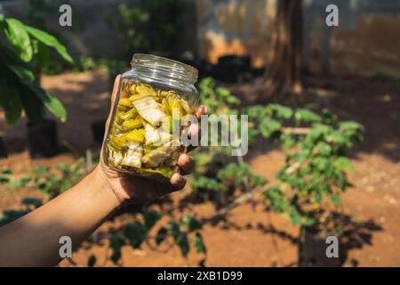 homme tenant une peau de banane à l'intérieur d'un bocal en verre, engrais organique à partir d'un déchet alimentaire Banque D'Images