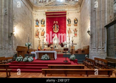 Salamanque, Espagne - 9 avril 2024 : vue détaillée d'une chapelle latérale et d'un autel dans la nouvelle cathédrale de Salamanque Banque D'Images