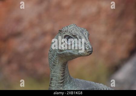 Musée australien d'histoire naturelle de l'âge des dinosaures - Winton Dinosaur Trip Banque D'Images