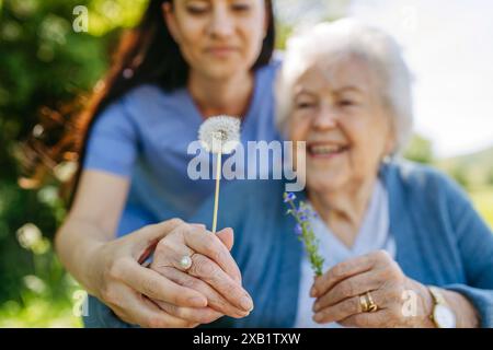 Femme soignante et femme âgée en fauteuil roulant tenant le pissenlit, cueillant des fleurs sauvages. Infirmière et femme âgée profitant d'une chaude journée en maison de retraite Banque D'Images