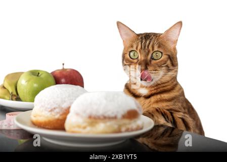 Un drôle de chat rouge lèche ses lèvres en regardant des beignets. Choisir entre des aliments malsains et sains. Banque D'Images