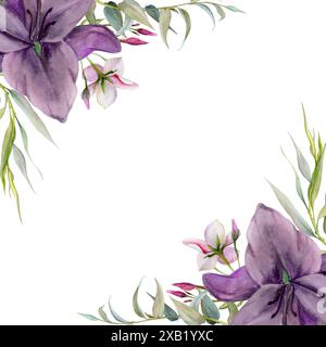 Illustration à l'aquarelle dessinée à la main fleurs botaniques feuilles. Lily clivia amaryllis, jasmin lobelia rose, branche d'eucalyptus de saule. Cadre isolé activé Banque D'Images