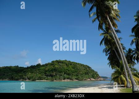 Anambas Islands Indonésie - plage idyllique avec d'énormes palmiers Banque D'Images