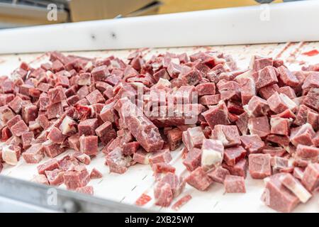 Viande crue coupée en dés sur une chaîne de production d'usine Banque D'Images