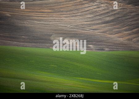 Farm Land Art du comté de Whitman, Washington Banque D'Images