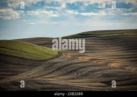 Farm Land Art du comté de Whitman, Washington Banque D'Images