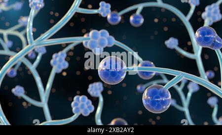 3d rendu de Candida albicans, c'est une levure pathogène opportuniste qui est un membre commun de la flore intestinale humaine Banque D'Images