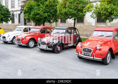 2CV Français : deux chevaux Banque D'Images