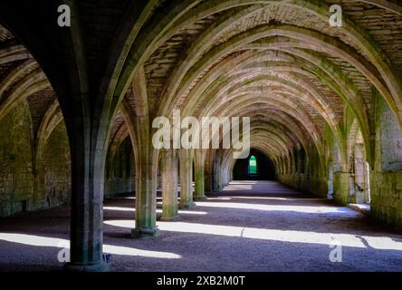 Le Cellarium et ses belles arches de Fountains Abbey, nouveau Ripon dans le Yorkshire du Nord, Angleterre, Royaume-Uni. Souvent confondu avec Cloisters. Banque D'Images