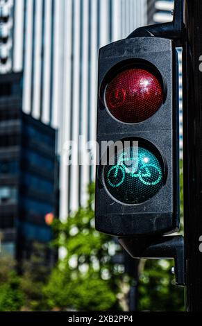 Une photo vibrante d'un feu de circulation spécifique à un vélo affichant un signal vert, avec en toile de fond des bâtiments modernes et des arbres luxuriants à Tbilissi, t Banque D'Images