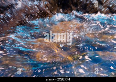 Cette image présente des réflexions abstraites sur l’eau de mer, avec un jeu captivant de lumière et de couleurs, créant un texte visuel dynamique et fluide Banque D'Images