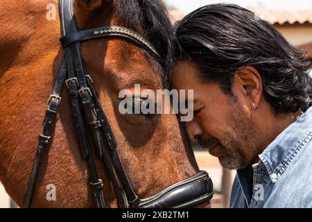 Moment intime où un homme pose doucement sa joue contre la tête d'un cheval brun, exprimant son affection et sa connexion, les deux caractéristiques de vue détaillée et rapprochée Banque D'Images