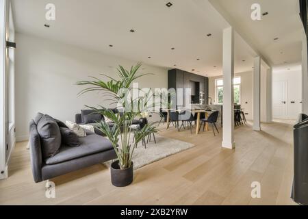 Un espace de vie moderne lumineux et aéré avec un canapé confortable, une salle à manger élégante et une verdure intérieure. Banque D'Images