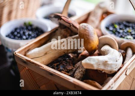 Champignons frais biologiques conservés dans un panier Banque D'Images