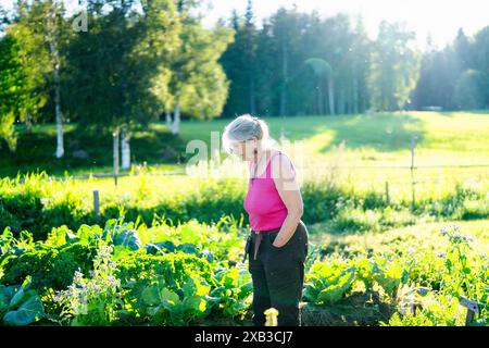 Agriculteur senior examinant les plantes biologiques à la ferme Banque D'Images