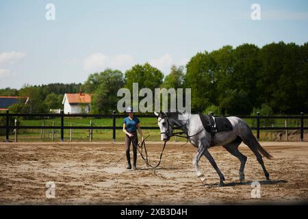 Entraîneur féminin avec cheval courant au ranch le jour ensoleillé Banque D'Images