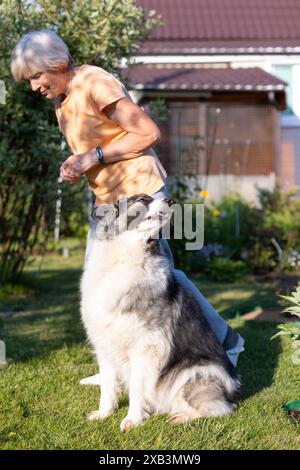 Une femme âgée entraîne un chien dans la cour de sa maison. Un grand chien, un mélange de berger, suit les ordres du propriétaire à l'extérieur. Mise au point sélective, gros plan. Banque D'Images