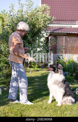 Une femme âgée entraîne un chien dans la cour de sa maison. Un grand chien, un mélange de berger, suit les ordres du propriétaire à l'extérieur. Mise au point sélective, gros plan. Banque D'Images