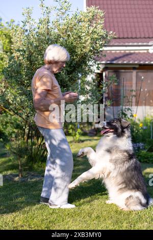 Une femme âgée entraîne un chien dans la cour de sa maison. Un grand chien, un mélange de berger, suit les ordres du propriétaire à l'extérieur. Mise au point sélective, gros plan. Banque D'Images