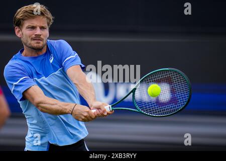 'S-HERTOGENBOSCH, PAYS-BAS - 10 JUIN : David Goffin de Belgique joue un revers dans son match de premier tour masculin en simple contre Luca Nardi d'Italie le jour 1 des Championnats Libema Open Grass court à l'Autotron le 10 juin 2024 à 's-Hertogenbosch, pays-Bas (photo de Rene Nijhuis/BSR Agency) crédit: BSR Agency/Alamy Live News Banque D'Images