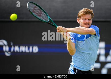 'S-HERTOGENBOSCH, PAYS-BAS - 10 JUIN : David Goffin de Belgique joue un revers dans son match de premier tour masculin en simple contre Luca Nardi d'Italie le jour 1 des Championnats Libema Open Grass court à l'Autotron le 10 juin 2024 à 's-Hertogenbosch, pays-Bas (photo de Rene Nijhuis/BSR Agency) crédit: BSR Agency/Alamy Live News Banque D'Images