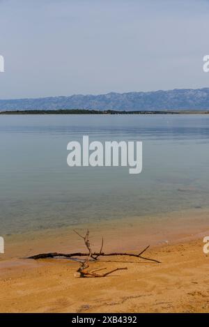 le petit port dans le village de privlaka au nord de la ville de zadar sur la côte dalmate sur la mer adriatique Banque D'Images