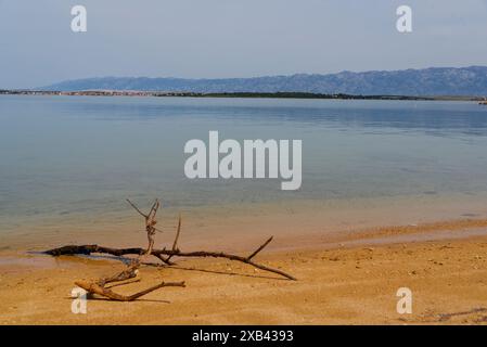 le petit port dans le village de privlaka au nord de la ville de zadar sur la côte dalmate sur la mer adriatique Banque D'Images