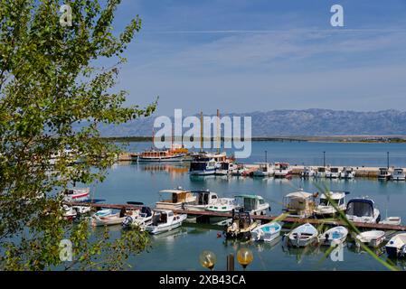 le petit port dans le village de privlaka au nord de la ville de zadar sur la côte dalmate sur la mer adriatique Banque D'Images