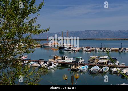 le petit port dans le village de privlaka au nord de la ville de zadar sur la côte dalmate sur la mer adriatique Banque D'Images