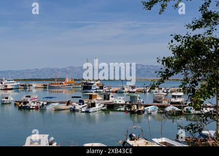 le petit port dans le village de privlaka au nord de la ville de zadar sur la côte dalmate sur la mer adriatique Banque D'Images