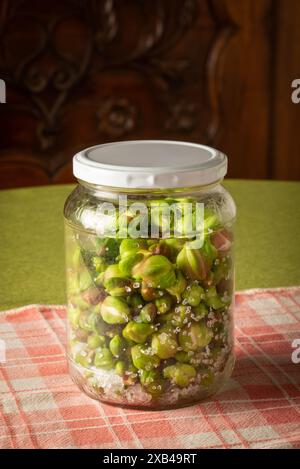 Bourgeons de câpres conservés dans un pot avec du sel, à utiliser comme cornichon ou assaisonnement Banque D'Images