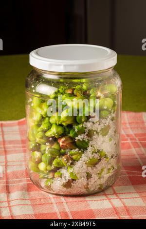 Bourgeons de câpres conservés dans un pot avec du sel, à utiliser comme cornichon ou assaisonnement Banque D'Images