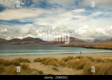 Dunes de sable et herbes sur la plage de Luskentyre sur la côte ouest de l'île de Harris. Banque D'Images