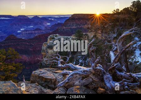 Lever du soleil sur le parc national du Grand Canyon vu de Mather point Banque D'Images