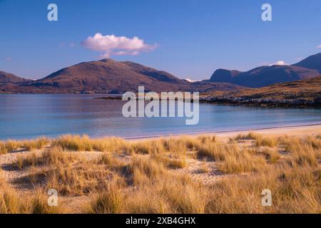 Vue sur les dunes de sable, les herbes et la mer calme sur la plage de Luskentyre - Losgaintir - Traigh Rosamol sur la côte ouest de l'île de Harris Banque D'Images