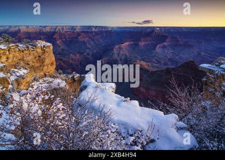 Vue avant l'aube sur le Grand Canyon depuis Mather point Banque D'Images