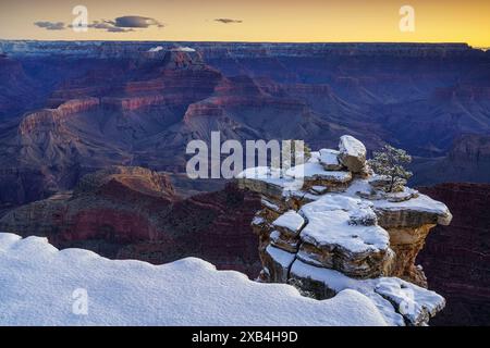 Vue avant l'aube sur le Grand Canyon depuis Mather point Banque D'Images