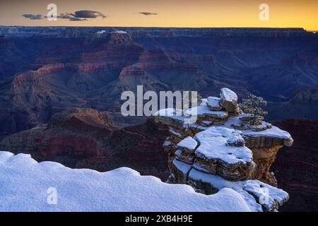 Vue avant l'aube sur le Grand Canyon depuis Mather point Banque D'Images