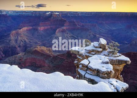 Vue avant l'aube sur le Grand Canyon depuis Mather point Banque D'Images