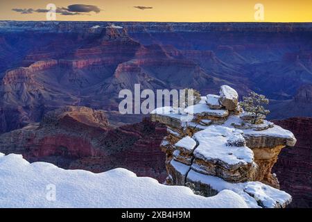 Vue avant l'aube sur le Grand Canyon depuis Mather point Banque D'Images