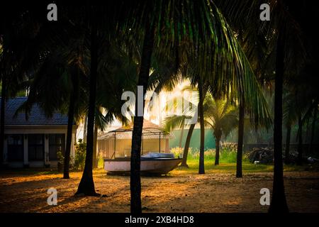 Cette image capture l'atmosphère sereine d'une soirée tropicale, où la lumière dorée du soleil couchant filtre à travers les palmiers. Support pour bateau Banque D'Images